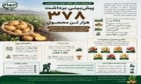 آذربایجان شرقی؛ قطب تولید سیب‌زمینی / پیش‌بینی برداشت ۳۷۸ هزار تن محصول
